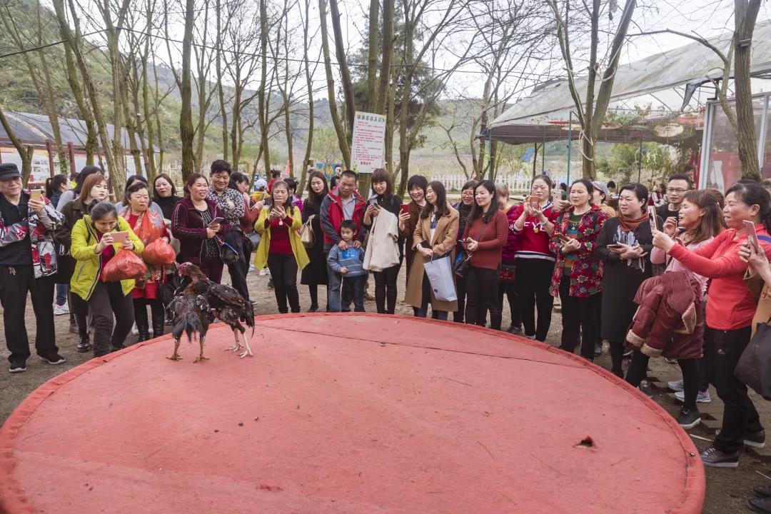 微信圖片_20190329183230.jpg 微信圖片_20190329183230.jpg